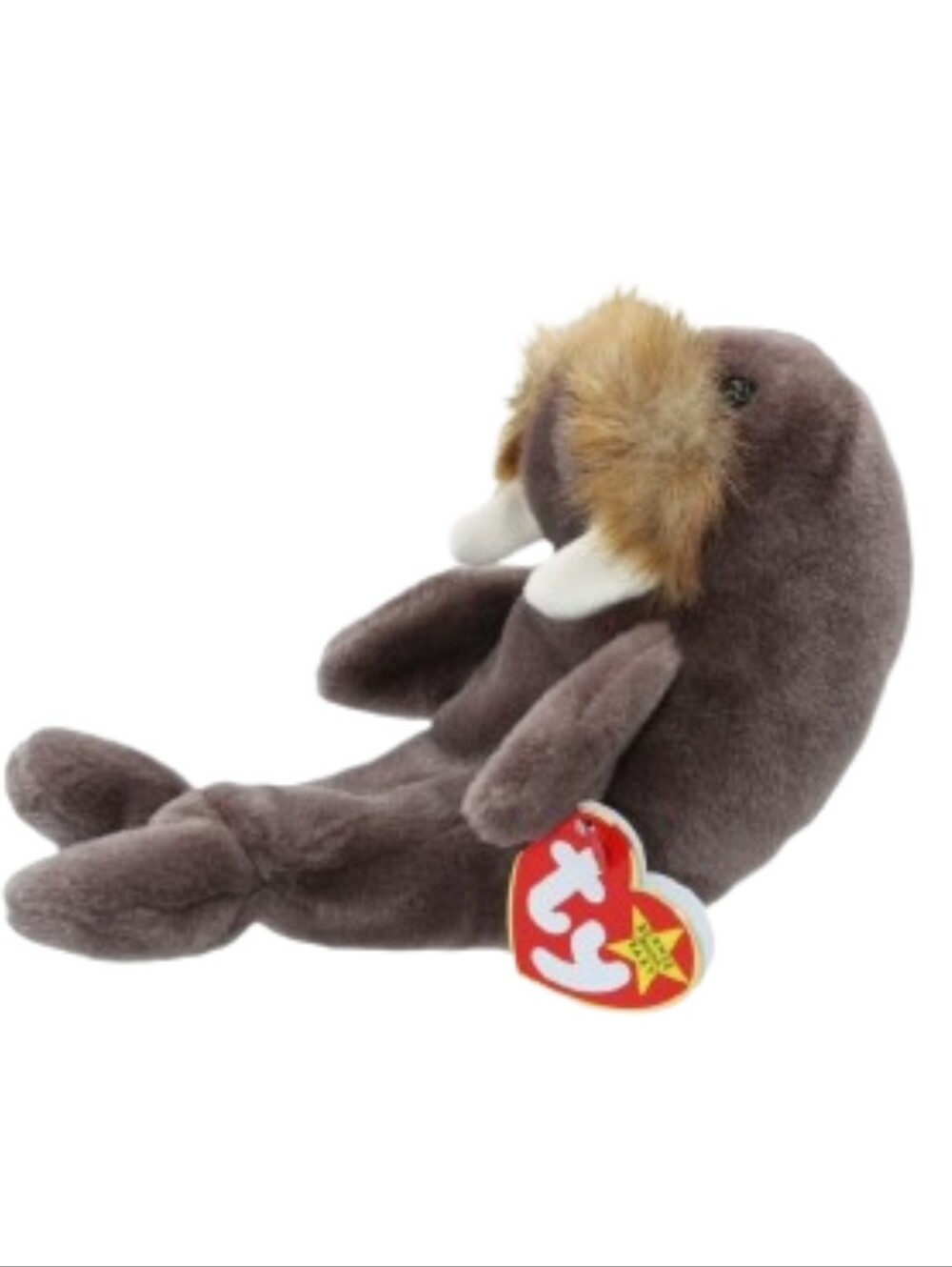 TY Beanie Baby Brown Plush Walrus with Tag